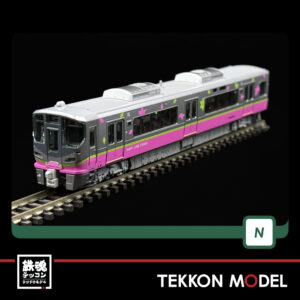 K10 2013.004